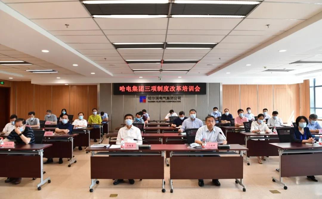 43D96D7BD7C3DBF1B58645CFCBA_9DA0216C_15CB9.jpg?e=