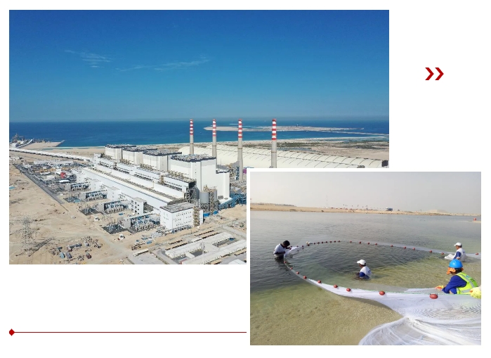 首页- 尊龙集团中国官方网站