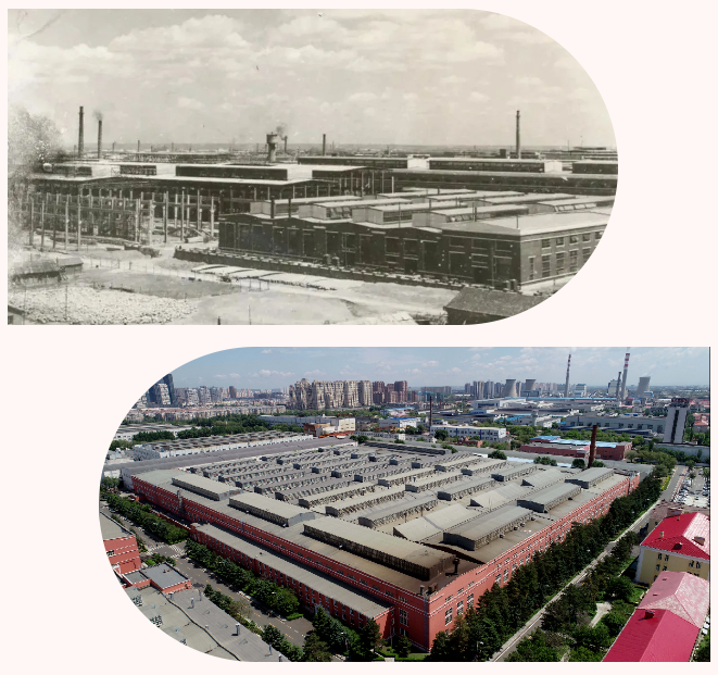 首页- 尊龙集团中国官方网站